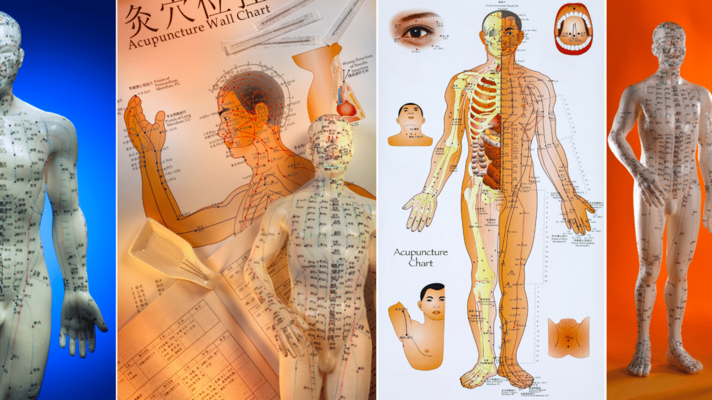 une image qui illustre la médecine chinoise