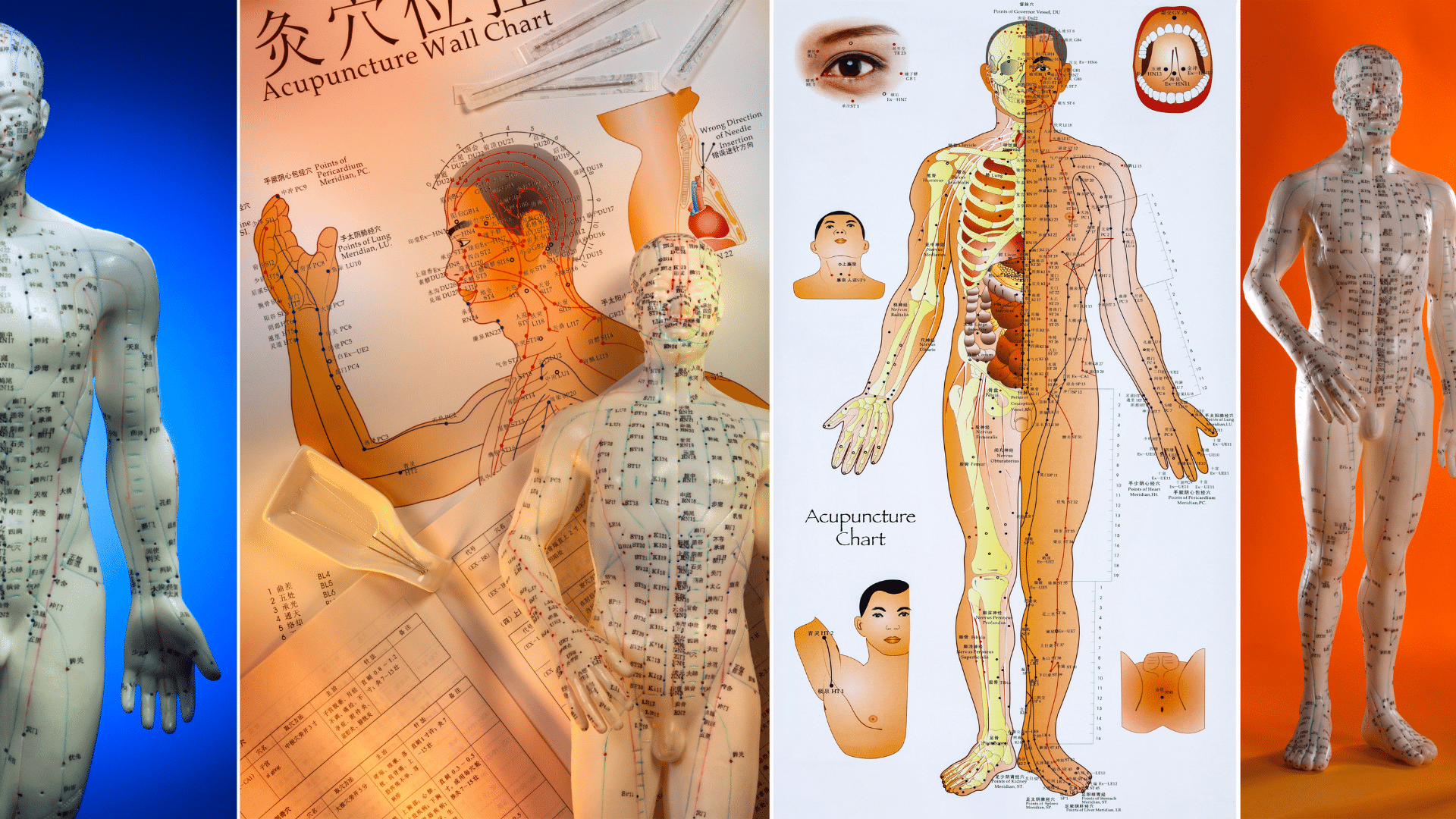 une image qui illustre la médecine chinoise