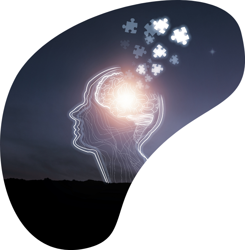 schéma tête cerveau et puzzle